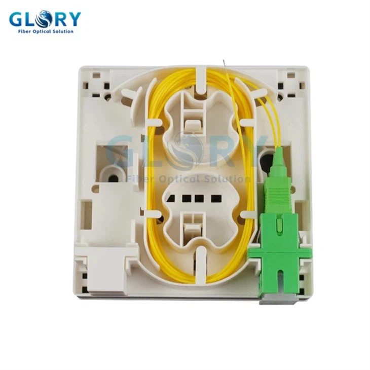 Fiber Optic Wall Socket best